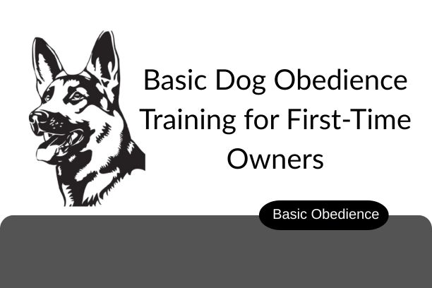 A blog image of Basic Dog Obedience Training for First-Time Owners