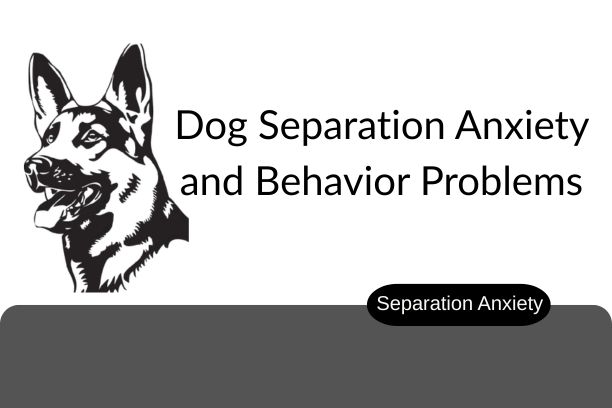 A blog image of Dog Separation Anxiety and Behavior Problems