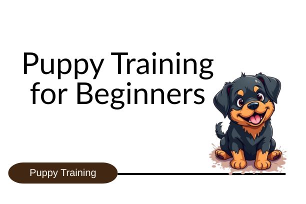 Puppy Training for Beginners: An image of a smiling puppy after being trained